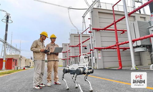 迎戰(zhàn)高溫大負(fù)荷 國(guó)網(wǎng)電力成都公司全力保障電力供應(yīng)